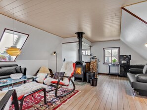 تلفزيون، مدفأة، مشغل دي في دي