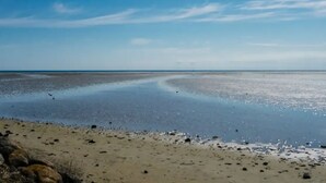 A beach with a clear sky, calm water, and a sandy shore.