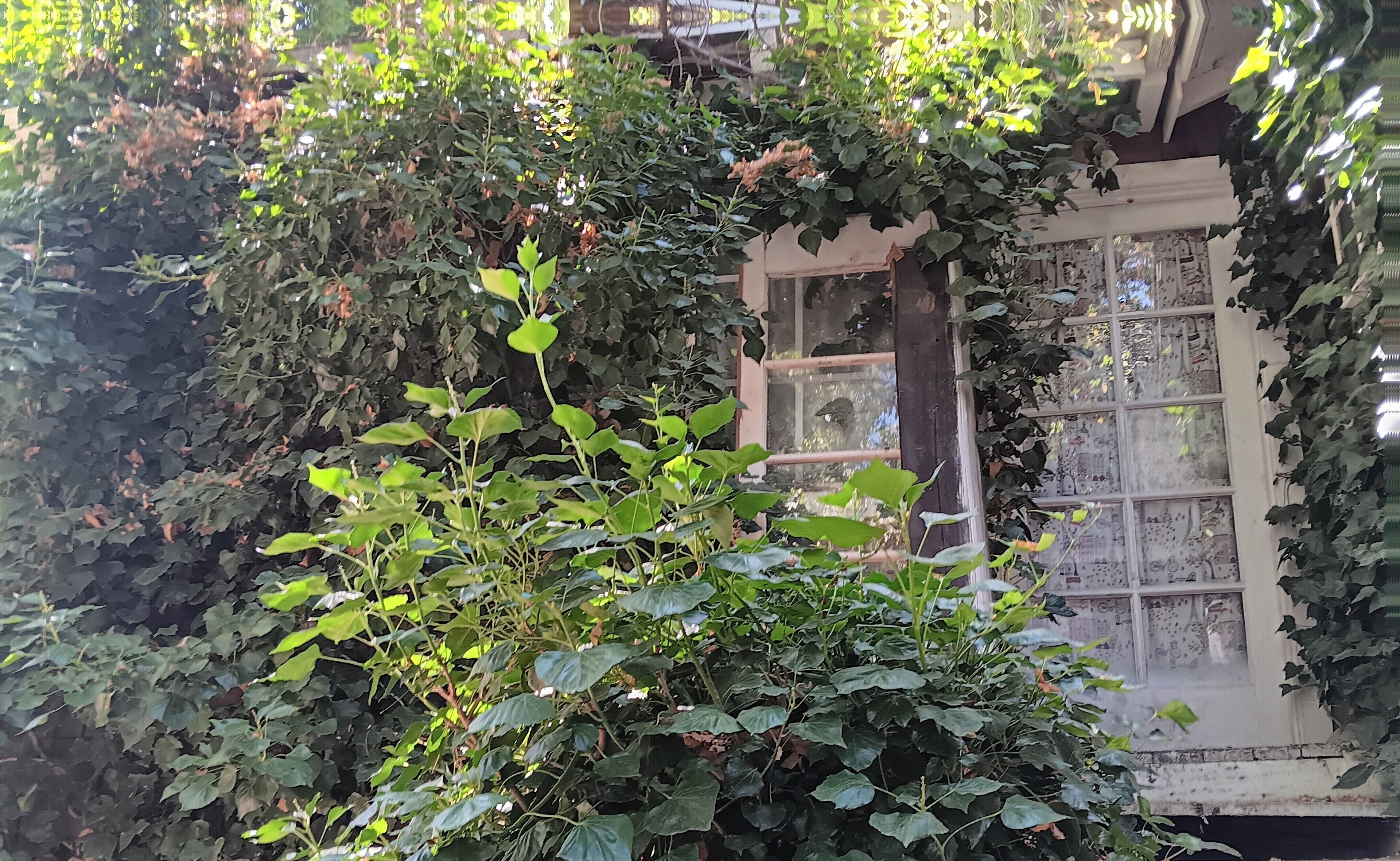 "Creekside Retreat: Cozy 2-Bedroom Haven with Scenic Views"