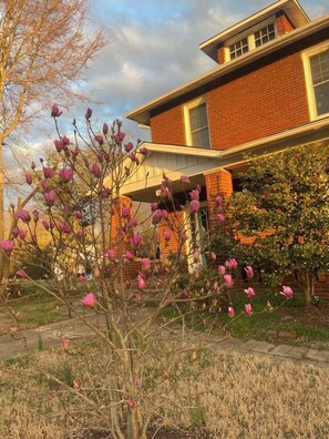 Property grounds - Home sweet home (South Boston)