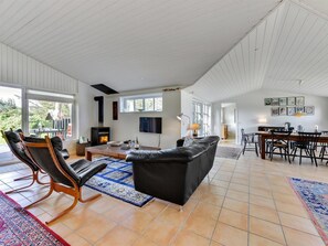 TV, fireplace, DVD player