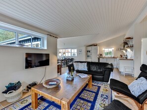 Tv, pejs, dvd-afspiller
