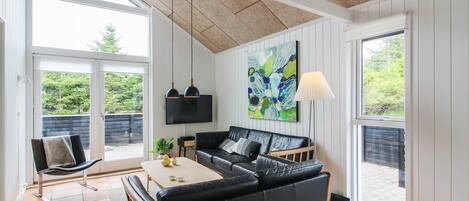 TV, fireplace, DVD player