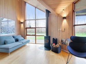 TV, fireplace, DVD player