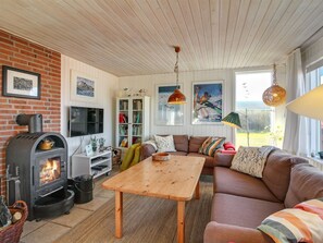 TV, fireplace, DVD player