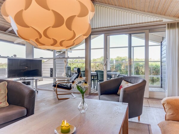 Tv, pejs, dvd-afspiller