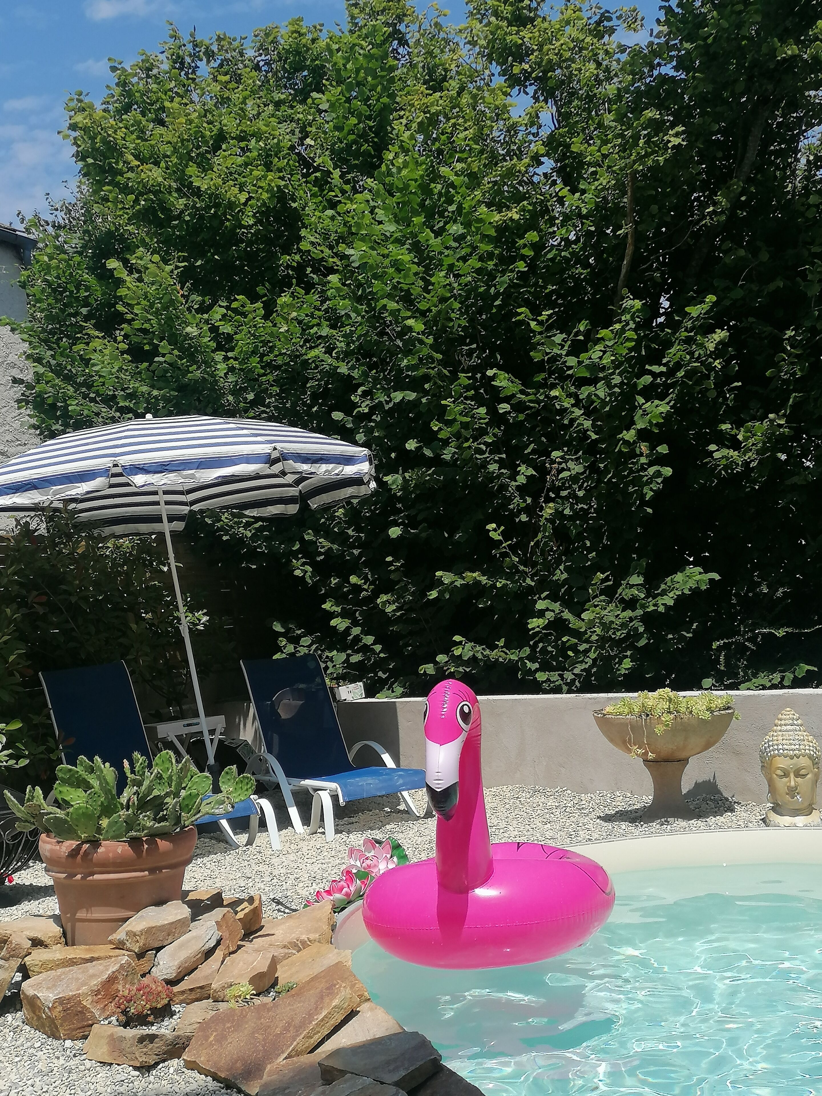 A pool area with a flamingo float, lounge chairs, and a striped umbrella.