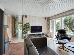 Télévision, cheminée, lecteur de DVD