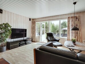 Télévision, cheminée, lecteur de DVD