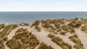 Une plage avec des dunes de sable et l’océan en arrière-plan.