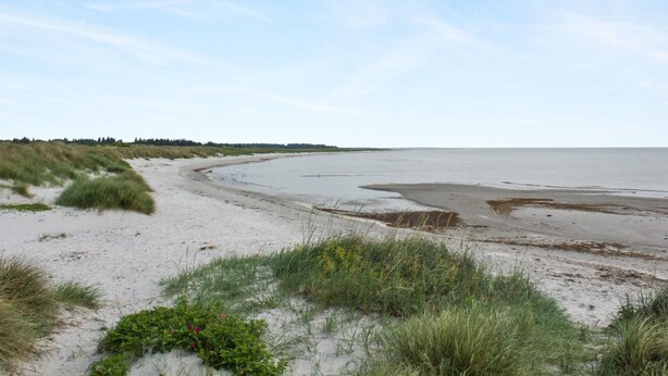 En strand med sandklitter og en klar himmel.