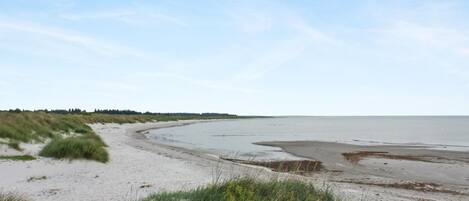 A beach with sand dunes and a clear sky.