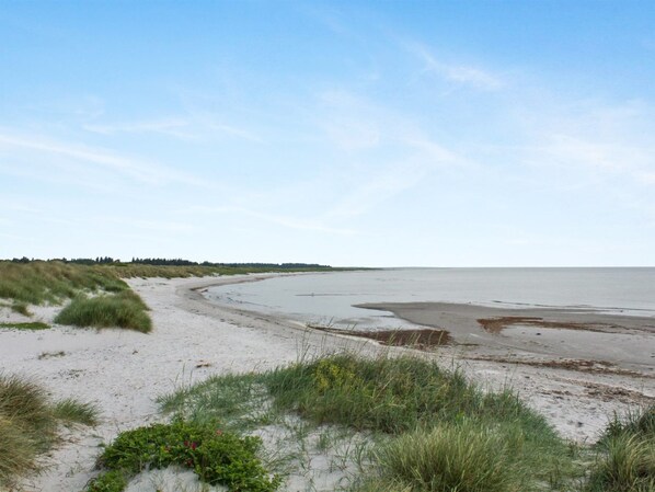 A beach with sand dunes and a clear sky. - "Helja" - 125m from the sea by Interhome (Hals)