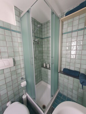 Ducha, secador de pelo, bidé y toallas