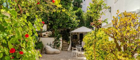 テラス / パティオ