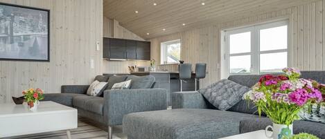 Fernseher, Kamin, DVD-Player