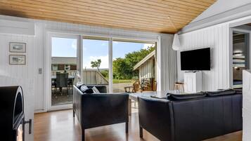 Télévision, cheminée, lecteur de DVD