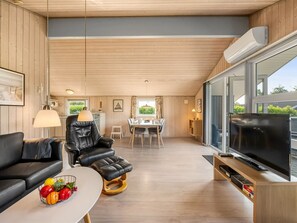 TV, fireplace, DVD player