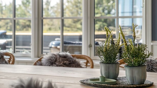 A dining area with a wooden table, two potted plants, and a view through large windows.