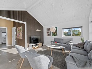 Televisión, chimenea y reproductor de DVD 