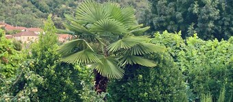 Quinta das flores
