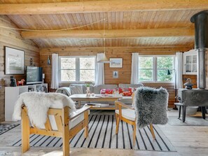 TV, fireplace, DVD player