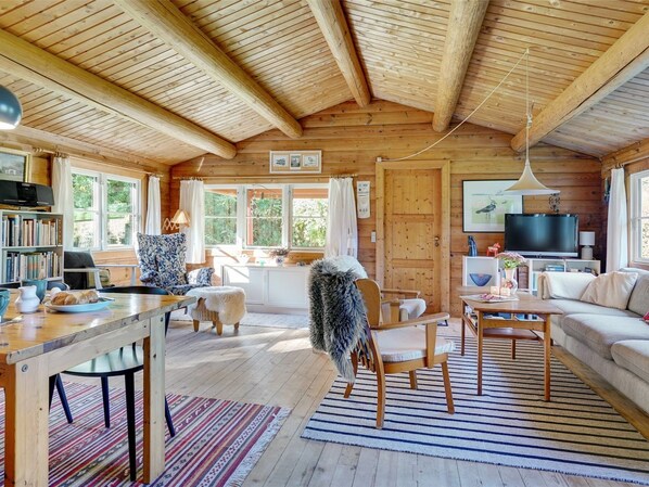 TV, fireplace, DVD player