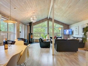 Fernseher, Kamin