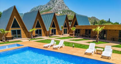Araz Wooden Concept