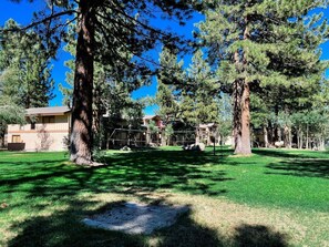 Property grounds - Villa de los Pinos 38- Nice, Centrally Located (Mammoth Lakes)