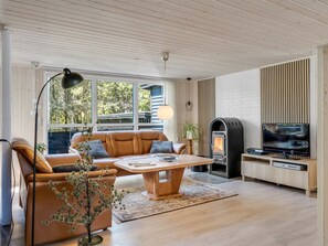 Televisión, chimenea y reproductor de DVD 