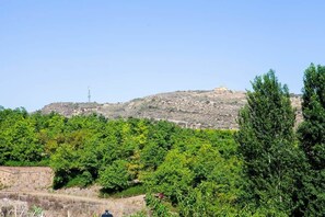 Unclassified image, 3 of 12, button