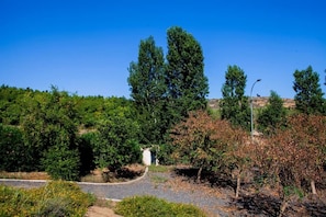 Uklassifisert bilde, 5 av 12, knapp