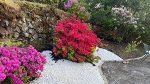A garden with white gravel paths, pink and red flowering bushes, and a stone wall. - Clydeview Apartments Langbank ( Gateway to Highlands ) (Langbank)