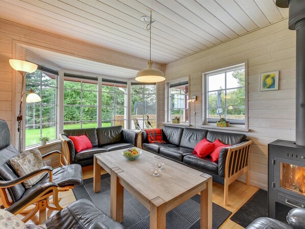 TV, fireplace, DVD player