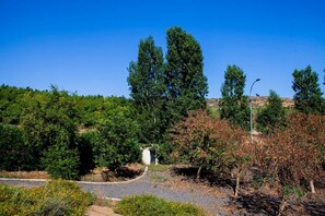 Unclassified image, 5 of 11, button