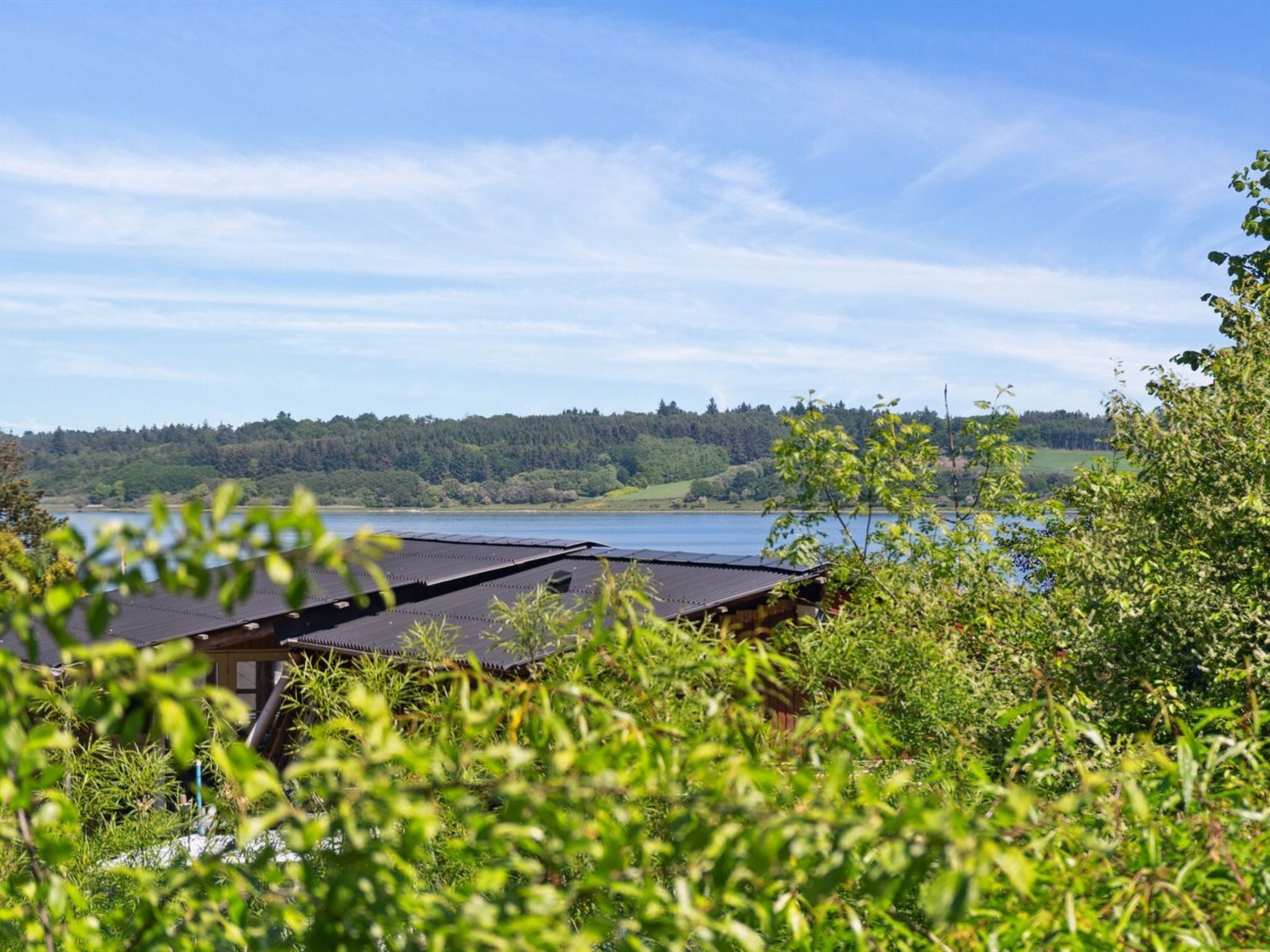 A lakeside view with a house partially obscured by foliage.