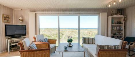 TV, fireplace, DVD player