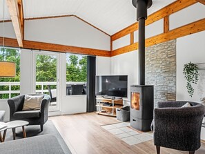 Televisión, chimenea y reproductor de DVD 