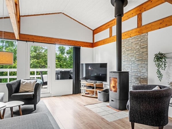 TV, fireplace, DVD player