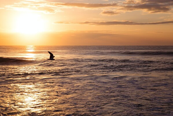 A sunset over the ocean with a silhouette of a person surfing.