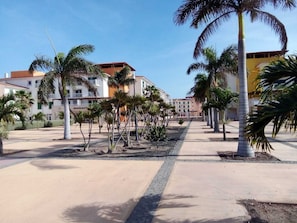 المنطقة المحيطة بالمنشأة