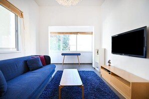 Fernseher, Arbeitsbereiche