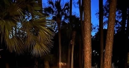 FRIPP ISLAND Limo golf cart, Bikes, Ping Pong, FirePit, Cards avail, sleeps 13