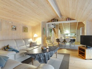 TV, fireplace, DVD player