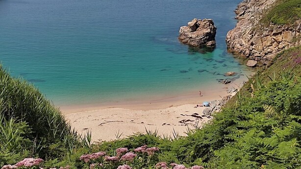 Une plage côtière aux eaux turquoise et limpides, parsemée de rochers et bordée d’une végétation luxuriante.