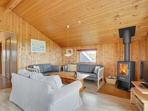 TV, fireplace, DVD player