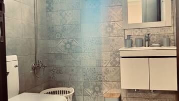Shower, hair dryer, bidet, towels