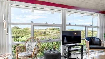 Televisio, takka, DVD-soitin