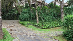 A stone pathway in a lush garden area with dense greenery and trees. - Casa do Bosque Campos do Jordão (Campos do Jordão)